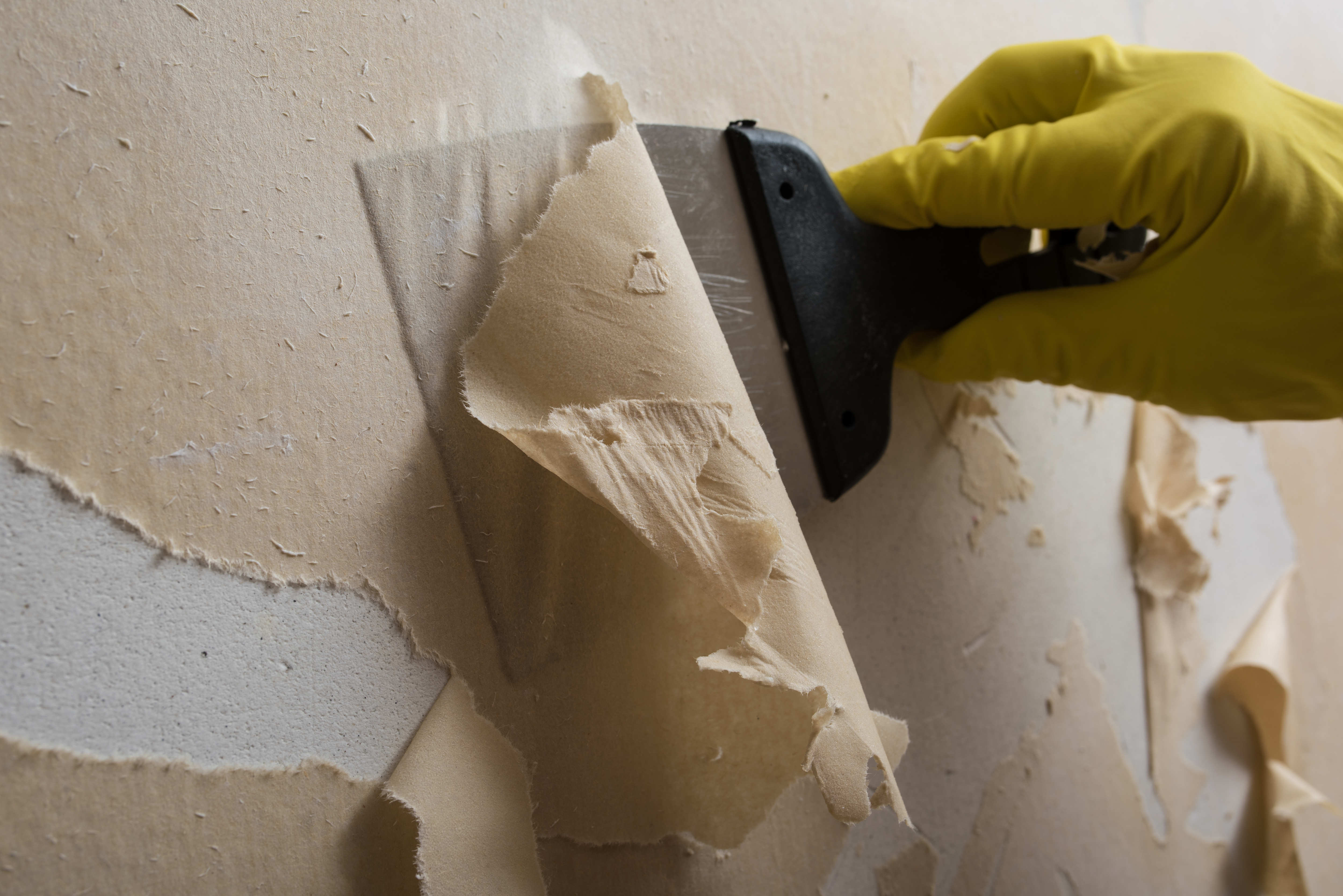 How to Remove Wallpaper Yourself